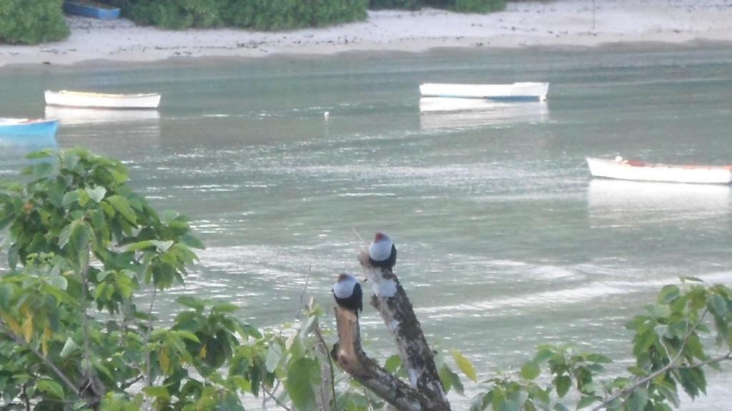 Bayview Villas Seychelles Anse Boileau Luaran gambar